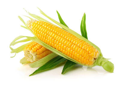 Tudo sobre o milho-verde: tempo de cozimento, modo de preparo, benefícios, receitas.